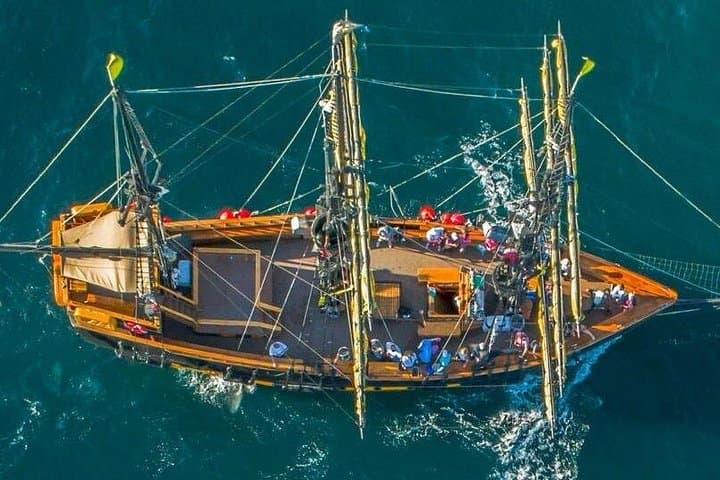 Sunset Pirate Boat Adventure in Cabo San Lucas — Pirate Party Cruise to El Arco photo 1