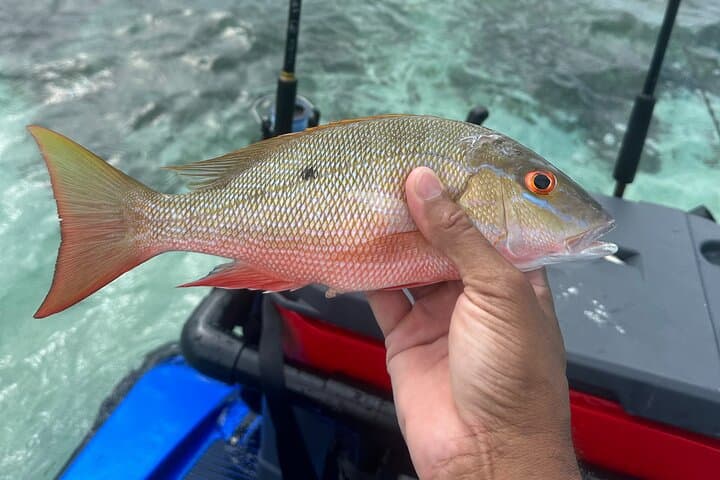 Jet Ski Fishing in Ambergris Caye — Guided Trips from San Pedro photo 6