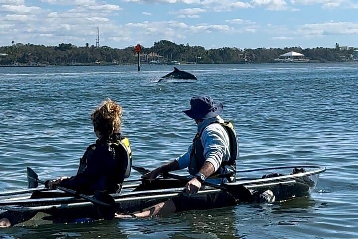 Clear Kayak Tour Through Siesta Key Mangroves and Midnight Pass photo 5