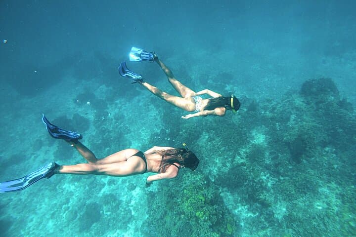 El Cielo Cozumel Snorkel: Palancar & Colombia Reefs, Starfish Sands and Snorkel With Rays photo 4