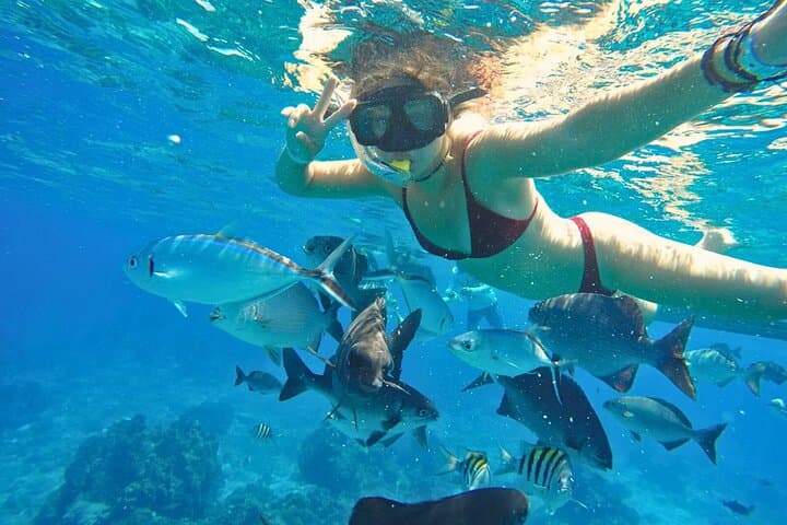 El Cielo Cozumel Snorkel: Palancar & Colombia Reefs, Starfish Sands and Snorkel With Rays photo 6