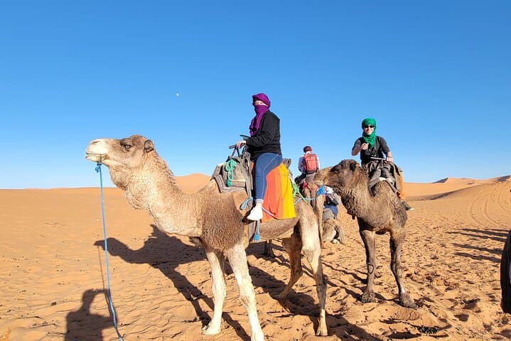 Merzouga Desert Trek: 3-Day Erg Chebbi Camel & Bivouac Adventure from Marrakech photo 5