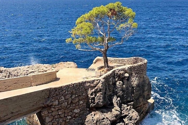 Full-Day Private Speedboat Tour from Hvar to Šćedro and the Pakleni Islands photo 4