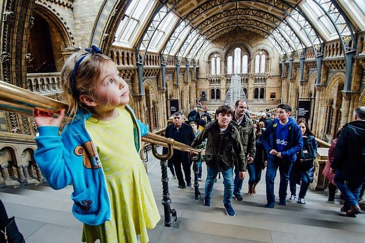 Inside London’s Natural History Museum — Diplodocus, Blue Whale & Evolution Gallery photo 2