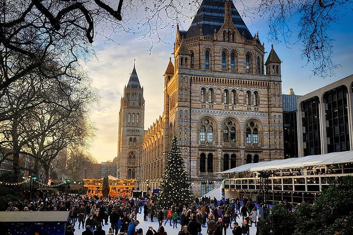 Inside London’s Natural History Museum — Diplodocus, Blue Whale & Evolution Gallery