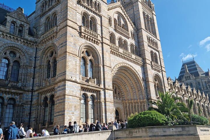 Inside London’s Natural History Museum — Diplodocus, Blue Whale & Evolution Gallery photo 5