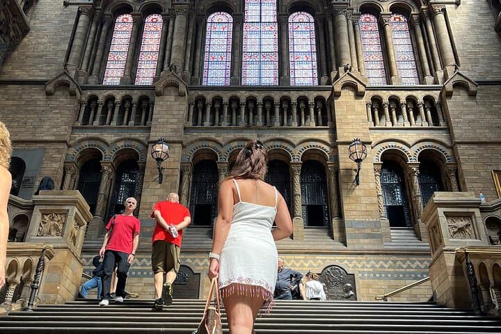 Inside London’s Natural History Museum — Diplodocus, Blue Whale & Evolution Gallery photo 6