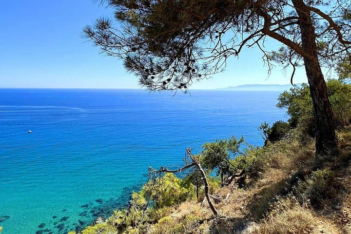 Akamas Jeep Safari from Paphos: Avakas Gorge, Turtle Bay & Donkey Farm photo 4