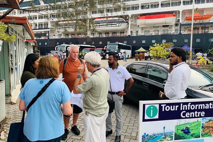 Colombo Shore Excursion: Kelaniya Temple & City Highlights Tour