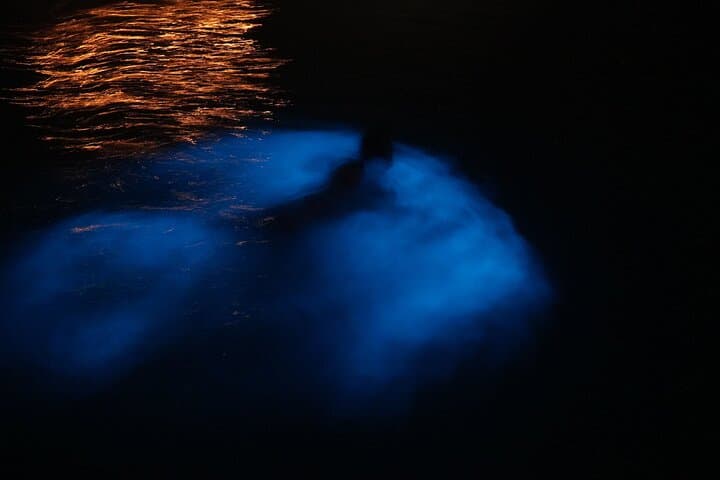 Private Bio Bay Boat Charter — Grand Cayman Snorkel & Night Glow