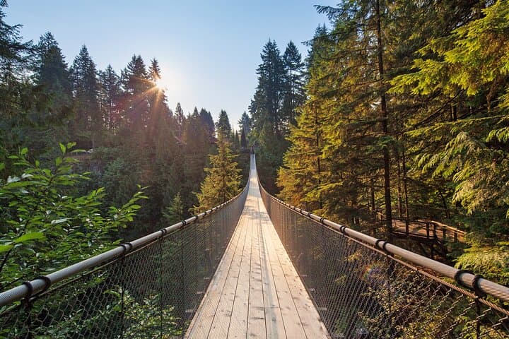 5-Hour Private Vancouver City Tour: Stanley Park, Capilano & Granville Island photo 2