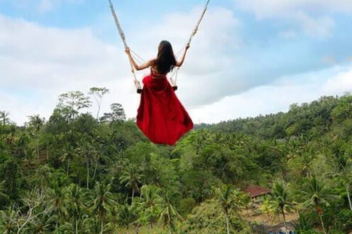 Soaring Above Ubud: Aloha Swing's Treetop Flight Over Bali's Rice Terraces