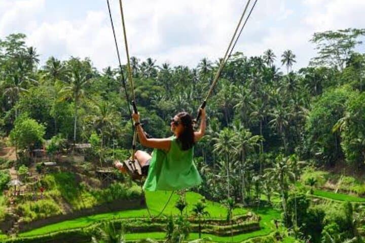 Soaring Above Ubud: Aloha Swing's Treetop Flight Over Bali's Rice Terraces photo 2
