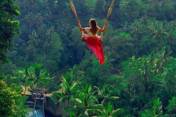 Soaring Above Ubud: Aloha Swing's Treetop Flight Over Bali's Rice Terraces photo 3