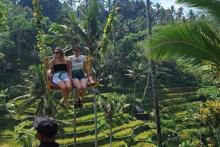 Soaring Above Ubud: Aloha Swing's Treetop Flight Over Bali's Rice Terraces photo 4