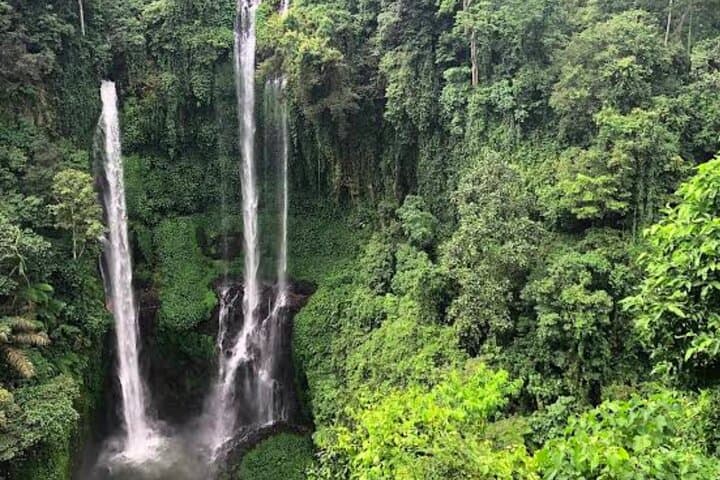 Chasing Cascades