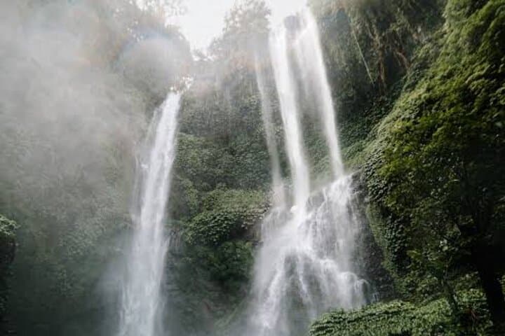 Sekumpul and Banyumala Waterfall Adventure: Trek, Swim & Jungle Views in Bali photo 3