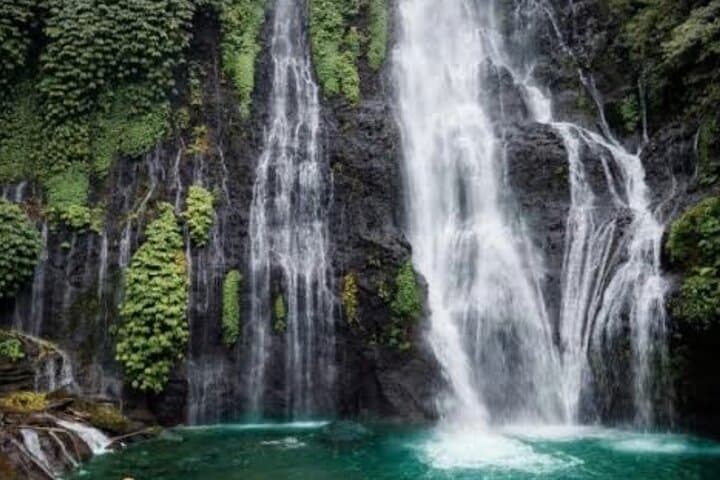 Sekumpul and Banyumala Waterfall Adventure: Trek, Swim & Jungle Views in Bali photo 4