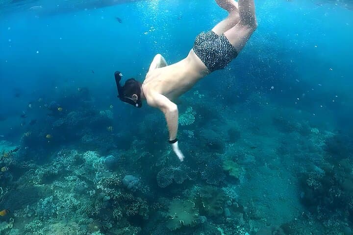 Nusa Penida Snorkeling and Uluwatu Sunset Tour — Manta Rays, Cliffs & Jimbaran Seafood photo 5