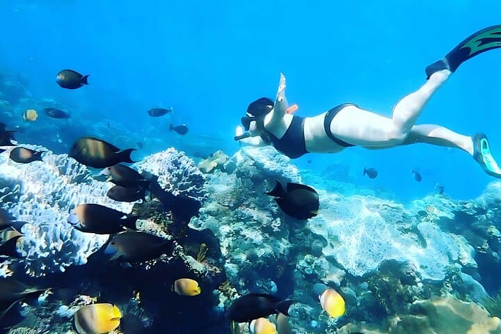 Nusa Penida Snorkeling and Uluwatu Sunset Tour — Manta Rays, Cliffs & Jimbaran Seafood photo 6