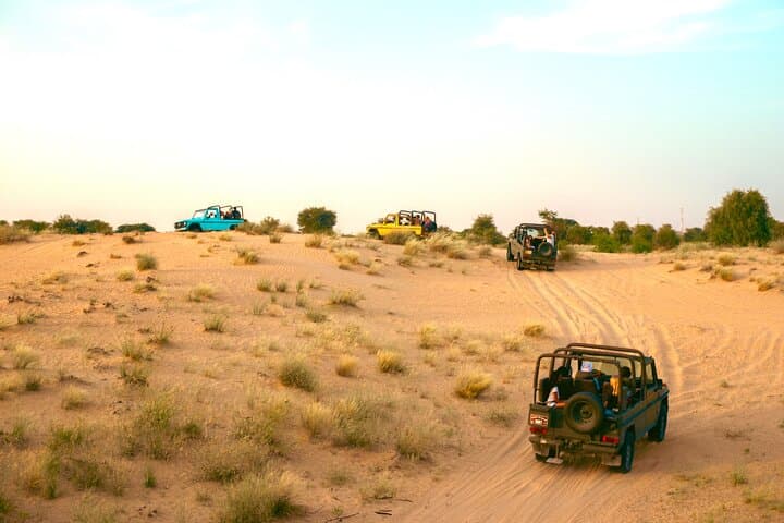 Al Marmoom Heritage Safari: Vintage G-Class Desert Dinner & Bedouin Village Experience photo 3