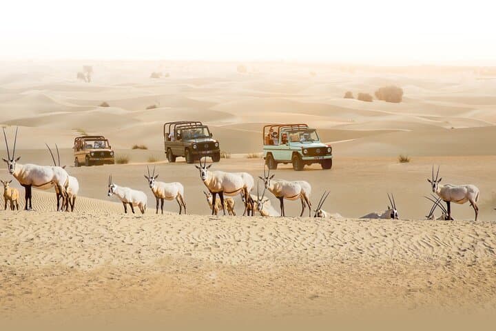 Al Marmoom Heritage Safari: Vintage G-Class Desert Dinner & Bedouin Village Experience photo 2