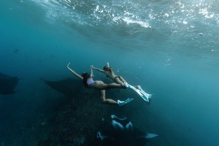 Premium Nusa Penida Day Trip from Bali — Manta Encounters, Snorkel & Kelingking by Private Boat photo 4