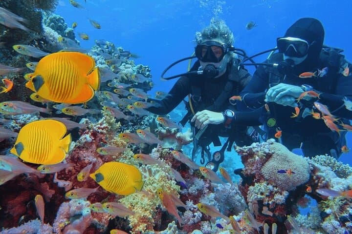 Hurghada Two-Stop Amateur Dive: Short Dives, Big Coral Views photo 3