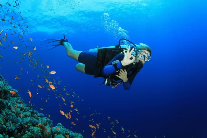 Hurghada Two-Stop Amateur Dive: Short Dives, Big Coral Views photo 6