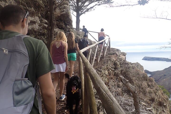 Pico Branco & Terra Chã Hike — Porto Santo's 360° Island Walk photo 2