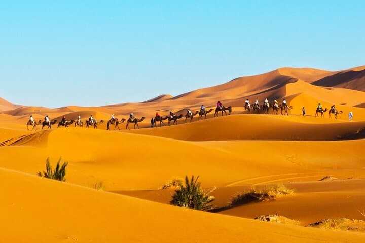 Merzouga Camel Trek & Overnight: Sunset Dunes, Berber Camp and Sandsurfing photo 2