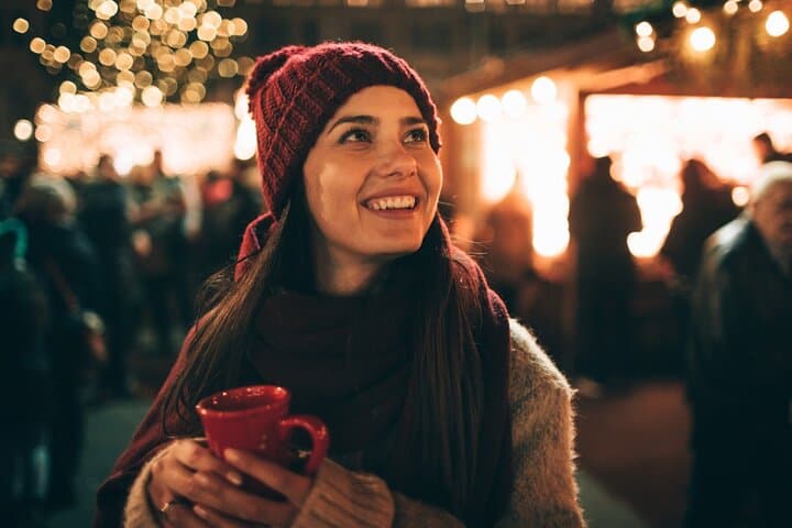 Milwaukee Magic: Private Christmas Lights Tour Guide