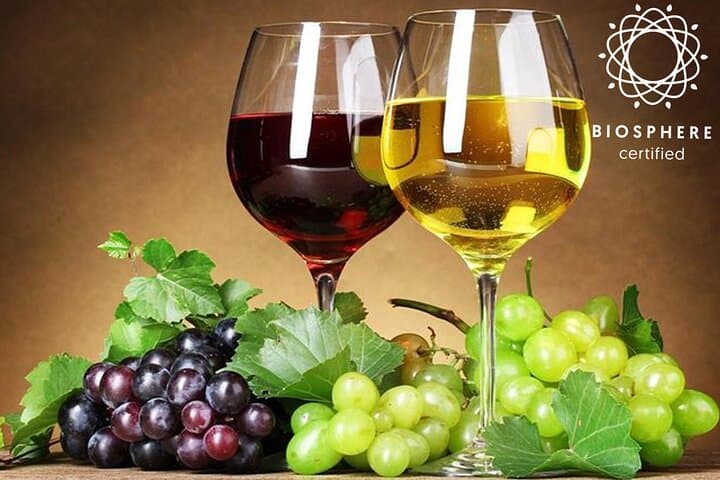 Madeira Skywalk & 4x4 Wine Tasting: Cabo Girão Cliffs to Vineyards
