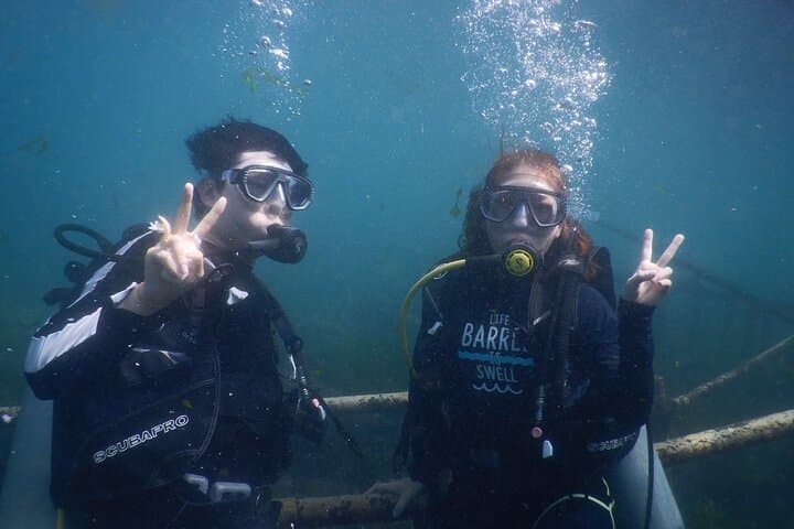 Private Nusa Dua Diving Experience with Hotel Pickup — Beginner-Friendly Bali Scuba photo 3