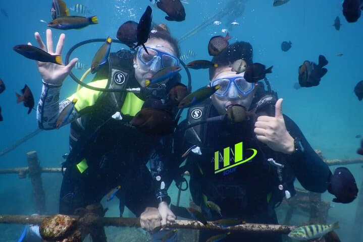 Private Nusa Dua Diving Experience with Hotel Pickup — Beginner-Friendly Bali Scuba