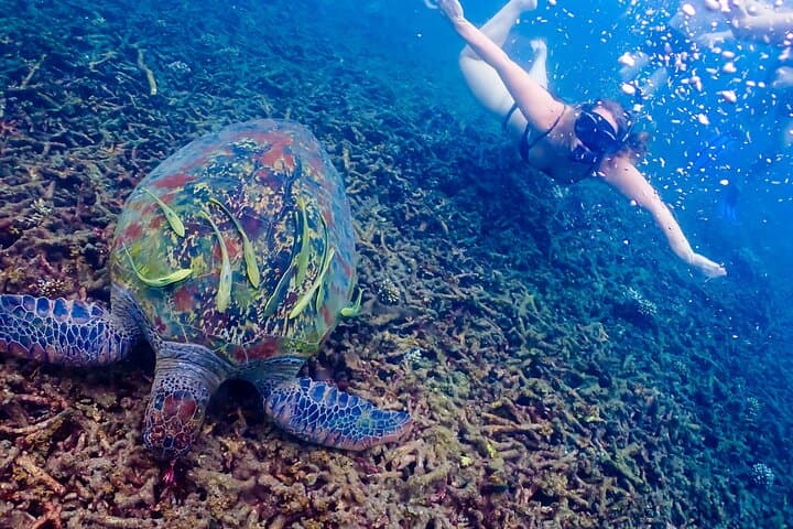 Full-Day 5-Islands Snorkel Tour: Koh Tao & Koh Nangyuan photo 2