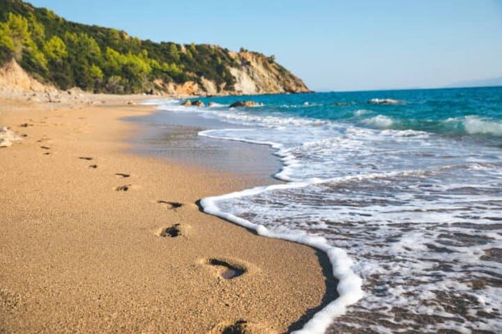 Avithos Beach Escape: Kefalonian Wine & Food Tasting from Argostoli