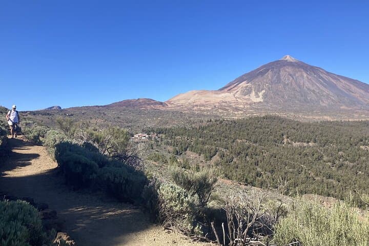 Half-Day Volcanic Experience at Teide — Guided Wellness, Geology & Volcano Walks in Tenerife photo 6
