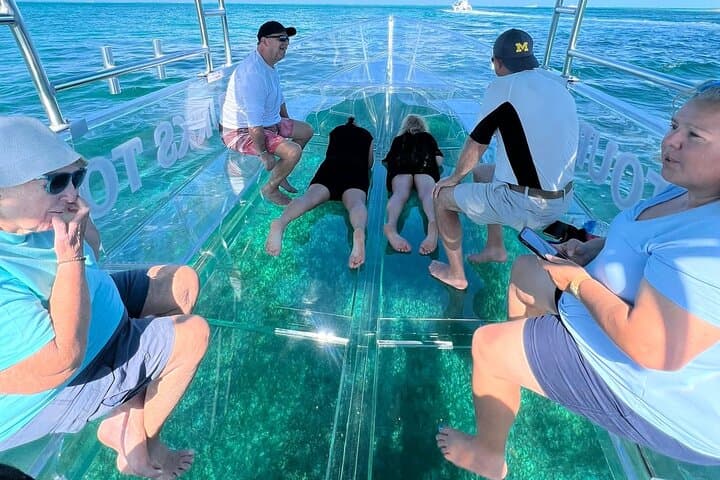 Clear-Boat Reef & Turtle Tour — 75 Minutes in Providenciales photo 6