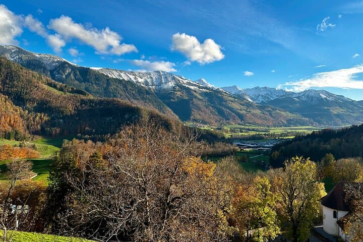 Gruyères Cheese & Lavaux Wine Day Trip from Bern — Private Tour photo 4