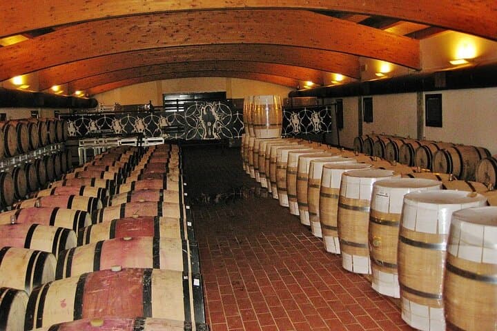 Bolgheri Supertuscan Wine Day Trip from Lucca: Tasting Tour photo 4