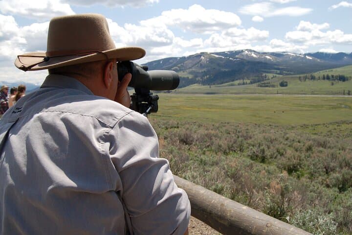 Explore Yellowstone’s Upper Loop: Wildlife, Geysers, and Scenic High Country photo 2