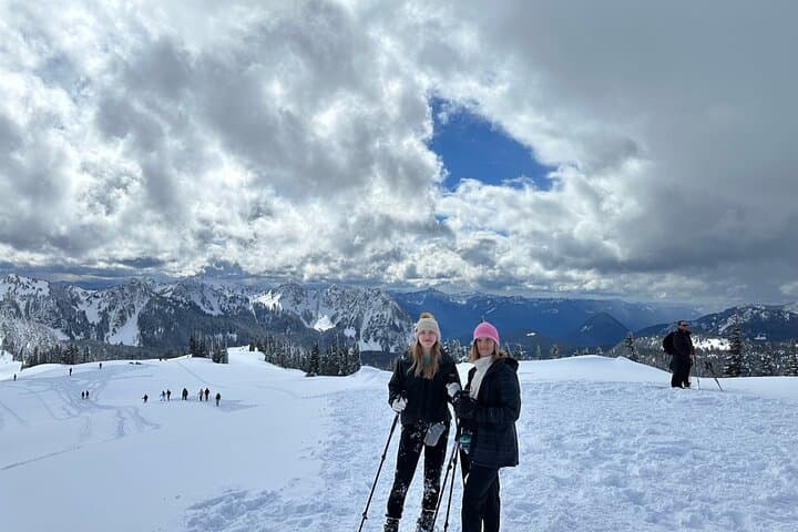 Full-Day Mount Rainier Tour from Seattle: Private SUV or Sprinter Van