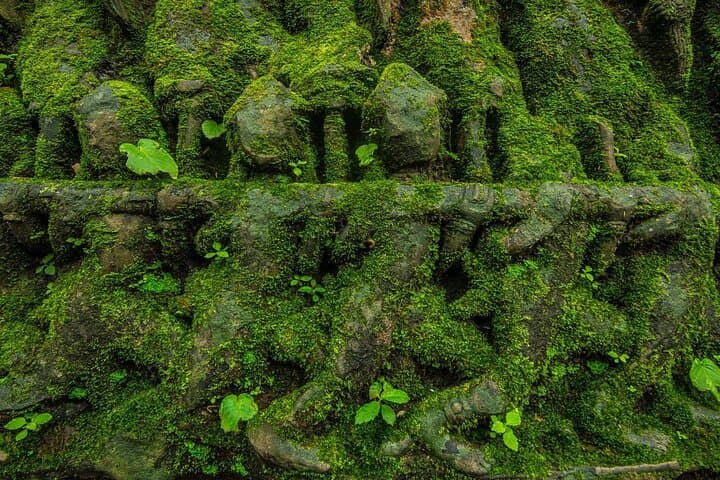 Explore Beng Mealea, Kbal Spean & Banteay Srei: A Full-Day Temple Trek from Siem Reap photo 4