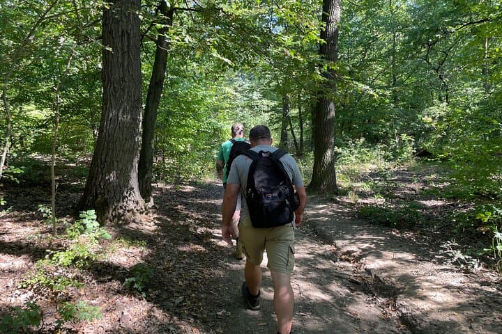 Budapest Hike: Buda Hills Forest Walk to Panoramic City Overlook photo 4