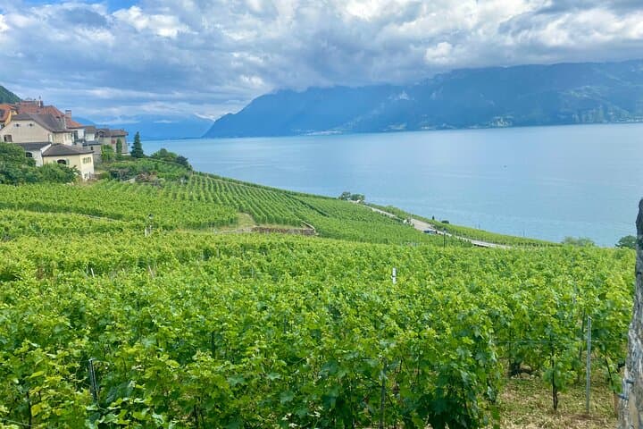 Gruyères Cheese & Lavaux Wine Day Trip from Bern — Private Tour