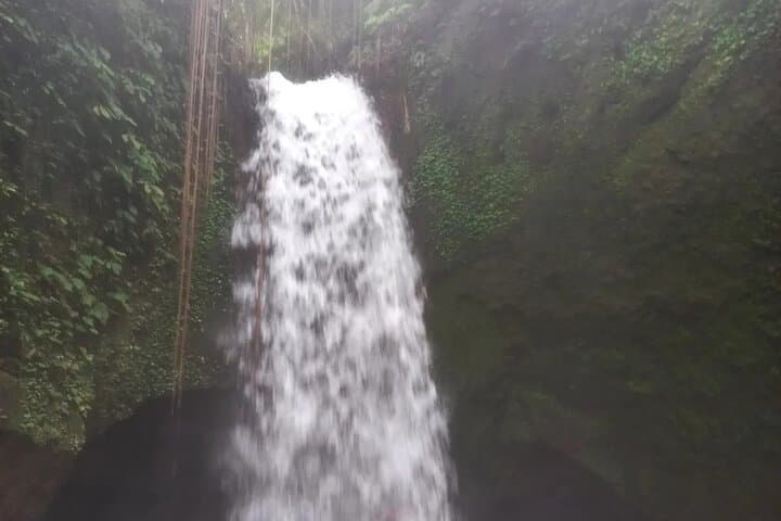 Cretya Ubud Infinity Pool, Waterfalls & Temple Full-Day Adventure photo 2