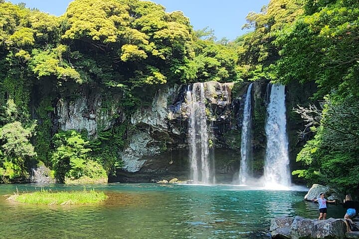 Southern Jeju UNESCO Day Tour: Hallasan Hike, Camellia Hill & Coastal Lava Cliffs photo 4