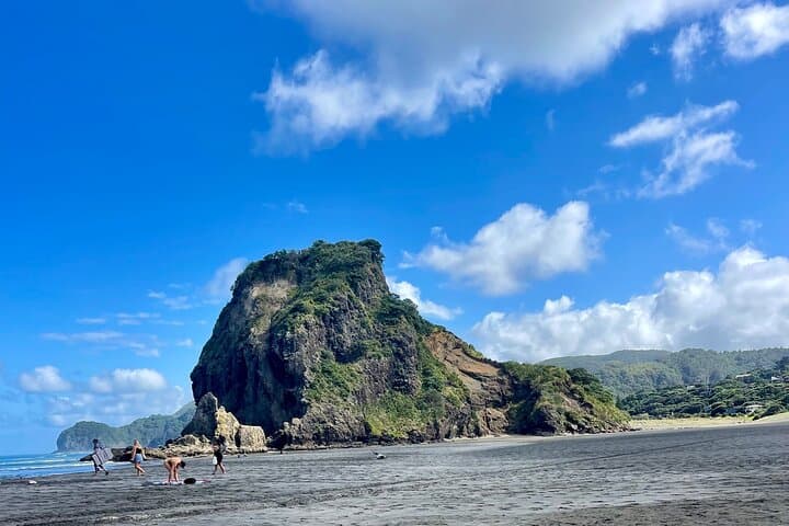 Piha Beach Tour: Black-Sand Shores, Kitekite Falls, and West Auckland Wilds photo 1