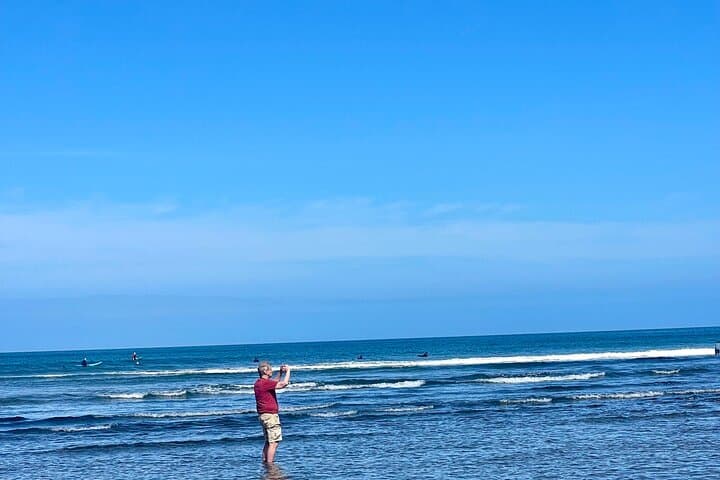 Piha Beach Tour: Black-Sand Shores, Kitekite Falls, and West Auckland Wilds photo 2